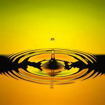 ���͵��ֽ׶η�չ��ͷ